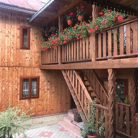 Pensiunea Agroturistica Casa Colinita Vatra Moldoviţei Εξωτερικό φωτογραφία