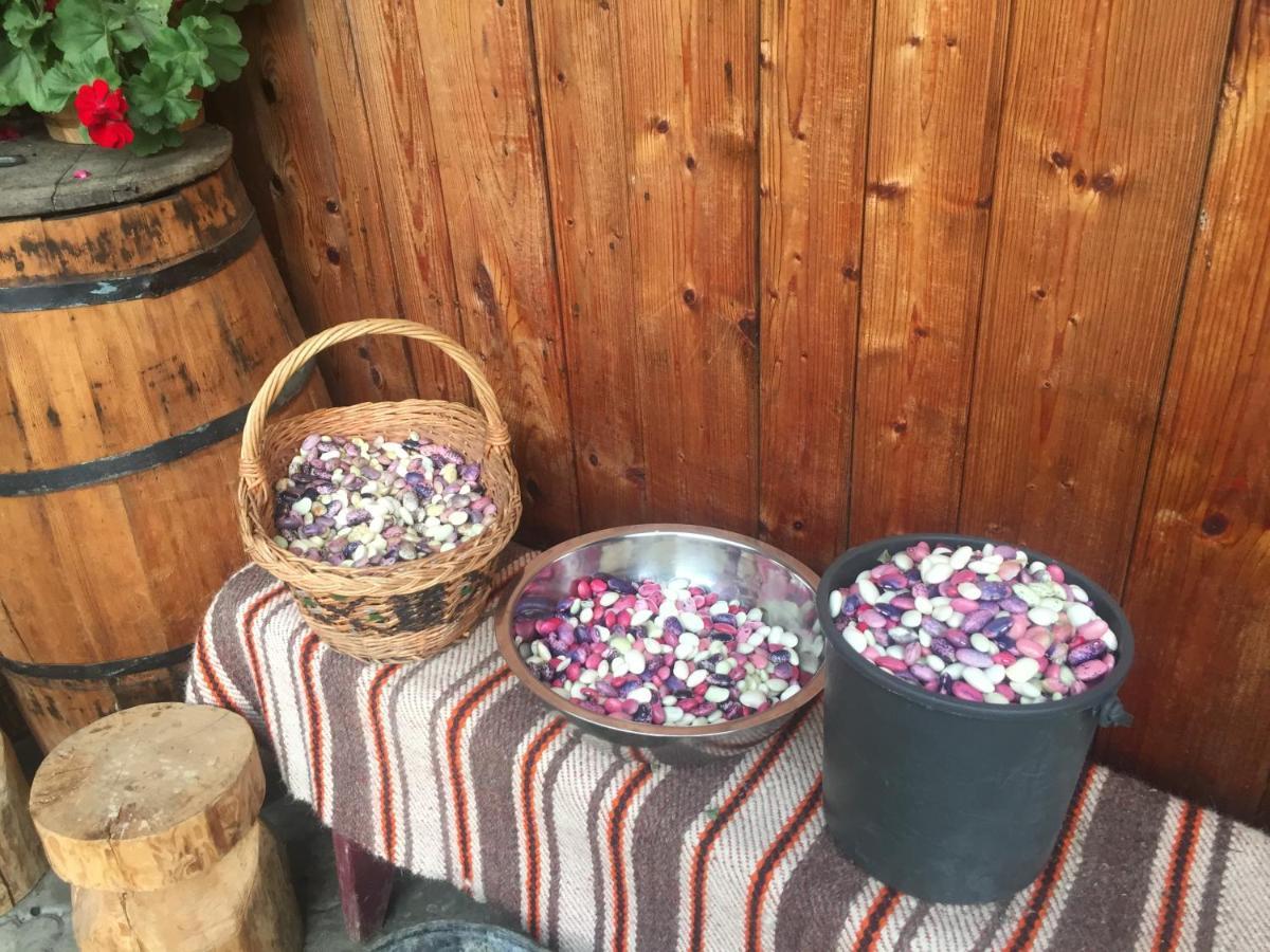 Pensiunea Agroturistica Casa Colinita Vatra Moldoviţei Εξωτερικό φωτογραφία