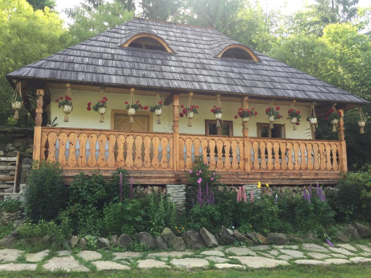 Pensiunea Agroturistica Casa Colinita Vatra Moldoviţei Εξωτερικό φωτογραφία