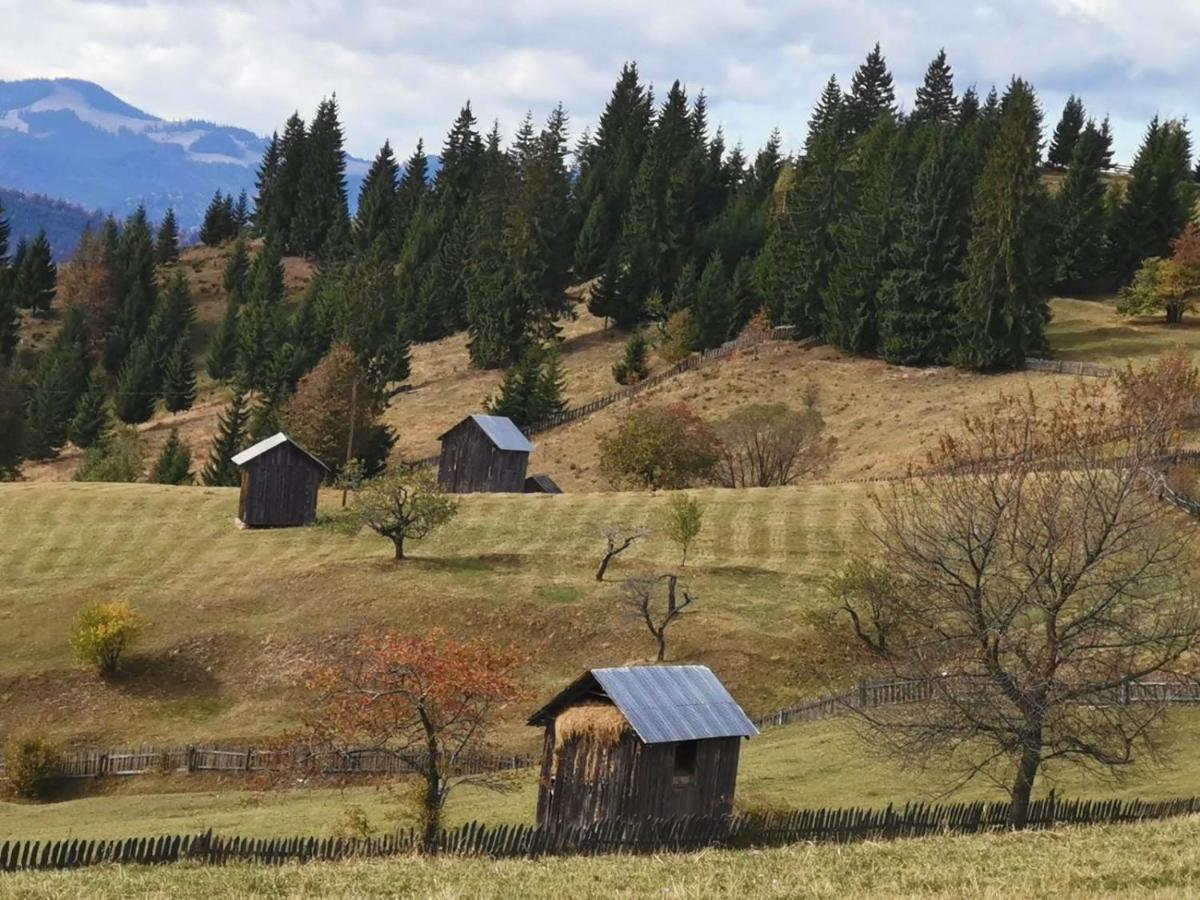 Pensiunea Agroturistica Casa Colinita Vatra Moldoviţei Εξωτερικό φωτογραφία