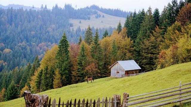 Pensiunea Agroturistica Casa Colinita Vatra Moldoviţei Εξωτερικό φωτογραφία