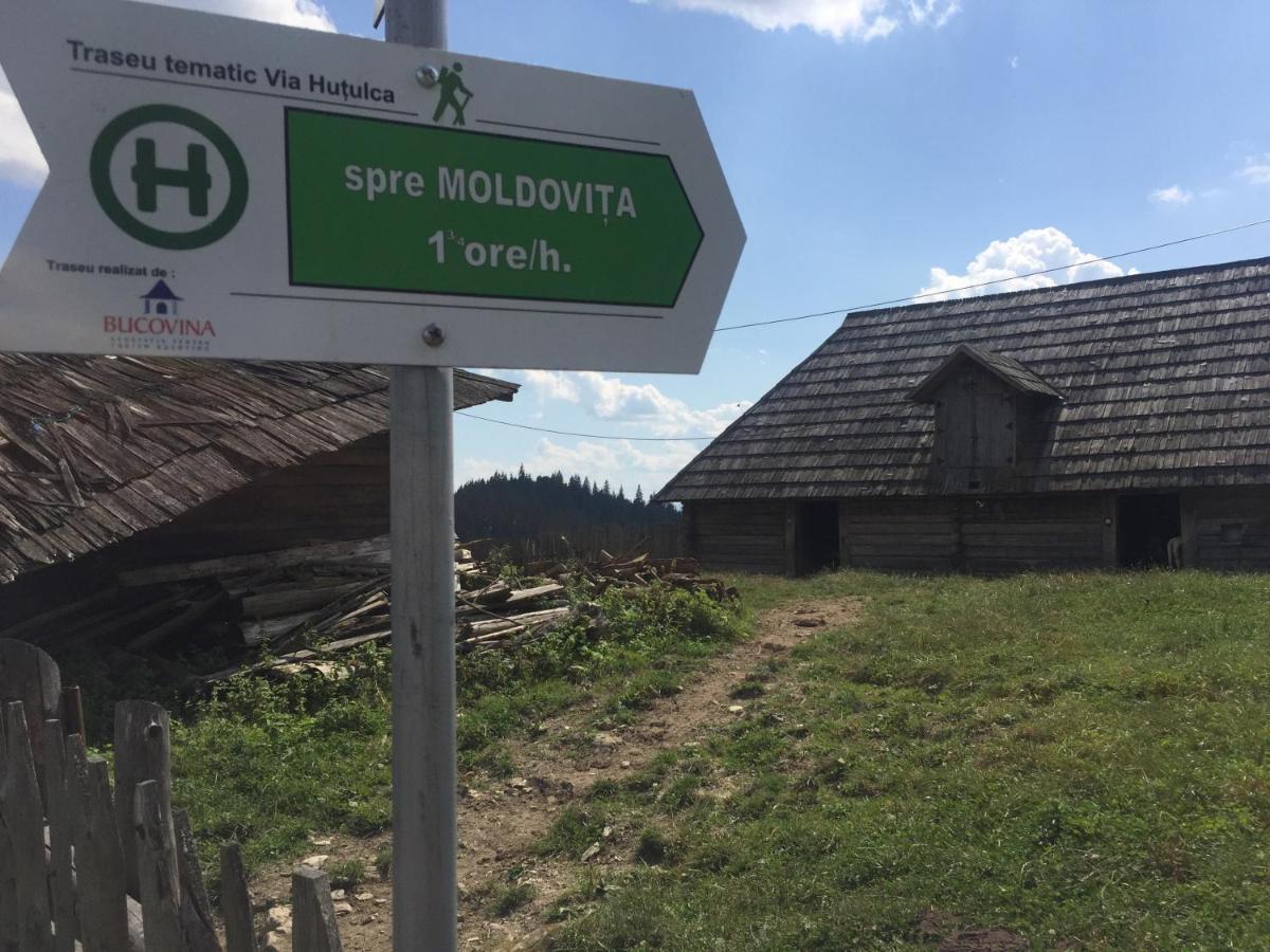 Pensiunea Agroturistica Casa Colinita Vatra Moldoviţei Εξωτερικό φωτογραφία