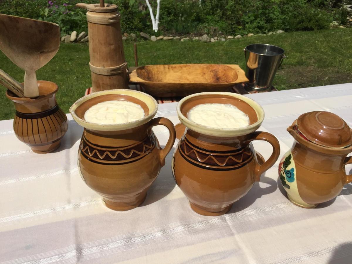 Pensiunea Agroturistica Casa Colinita Vatra Moldoviţei Εξωτερικό φωτογραφία