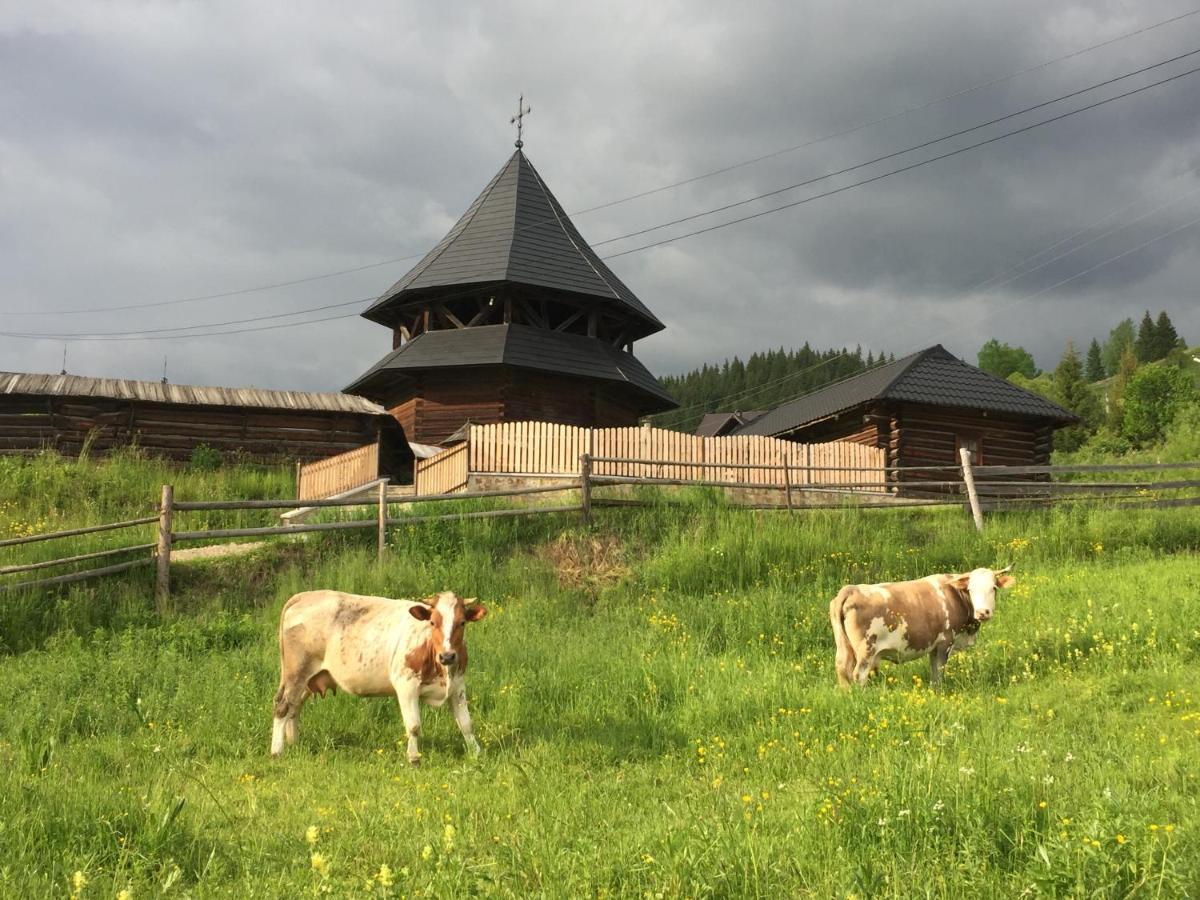 Pensiunea Agroturistica Casa Colinita Vatra Moldoviţei Εξωτερικό φωτογραφία