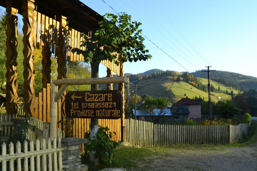 Pensiunea Agroturistica Casa Colinita Vatra Moldoviţei Εξωτερικό φωτογραφία