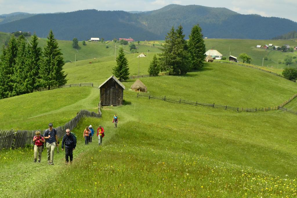 Pensiunea Agroturistica Casa Colinita Vatra Moldoviţei Εξωτερικό φωτογραφία