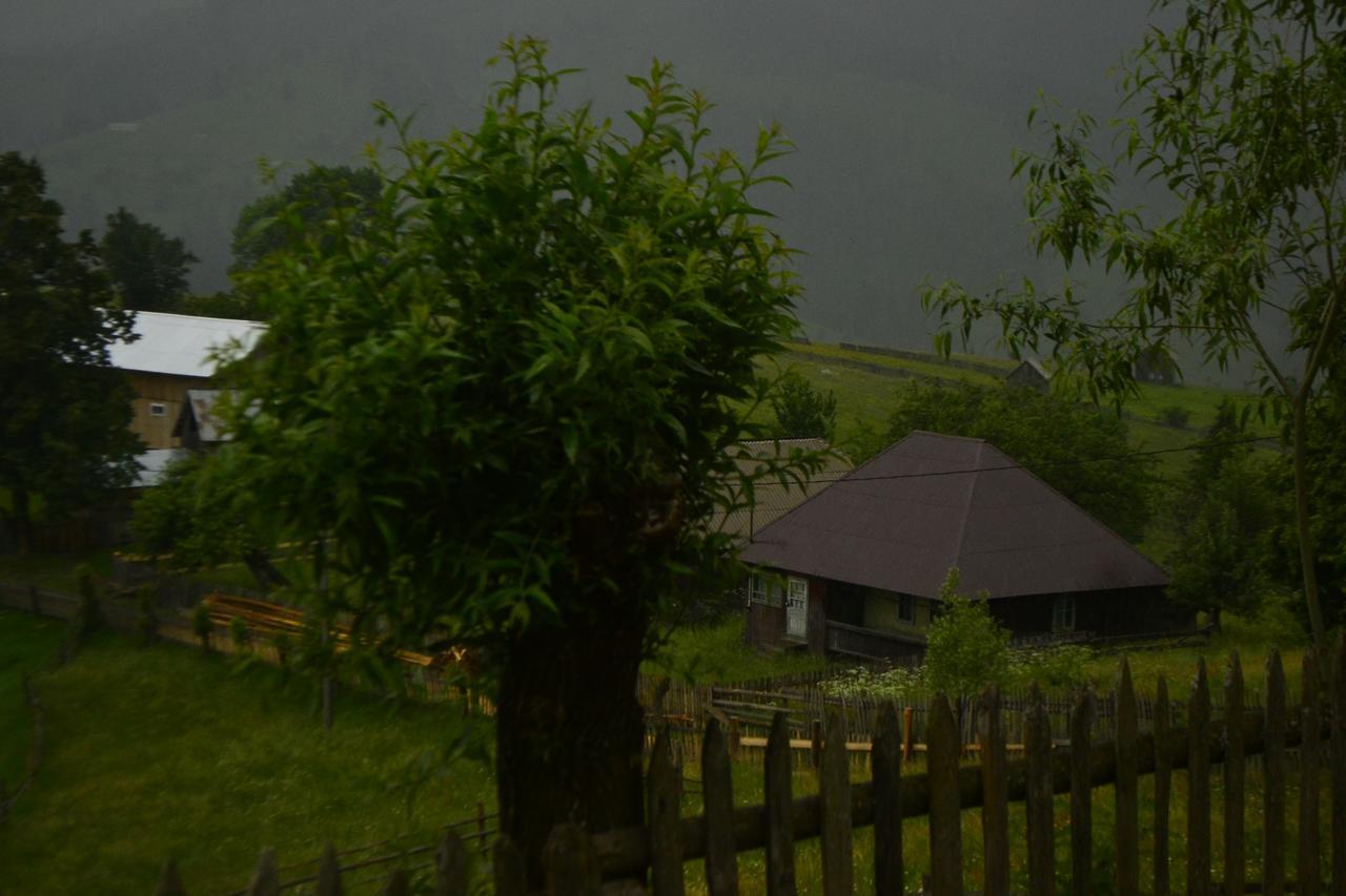 Pensiunea Agroturistica Casa Colinita Vatra Moldoviţei Εξωτερικό φωτογραφία